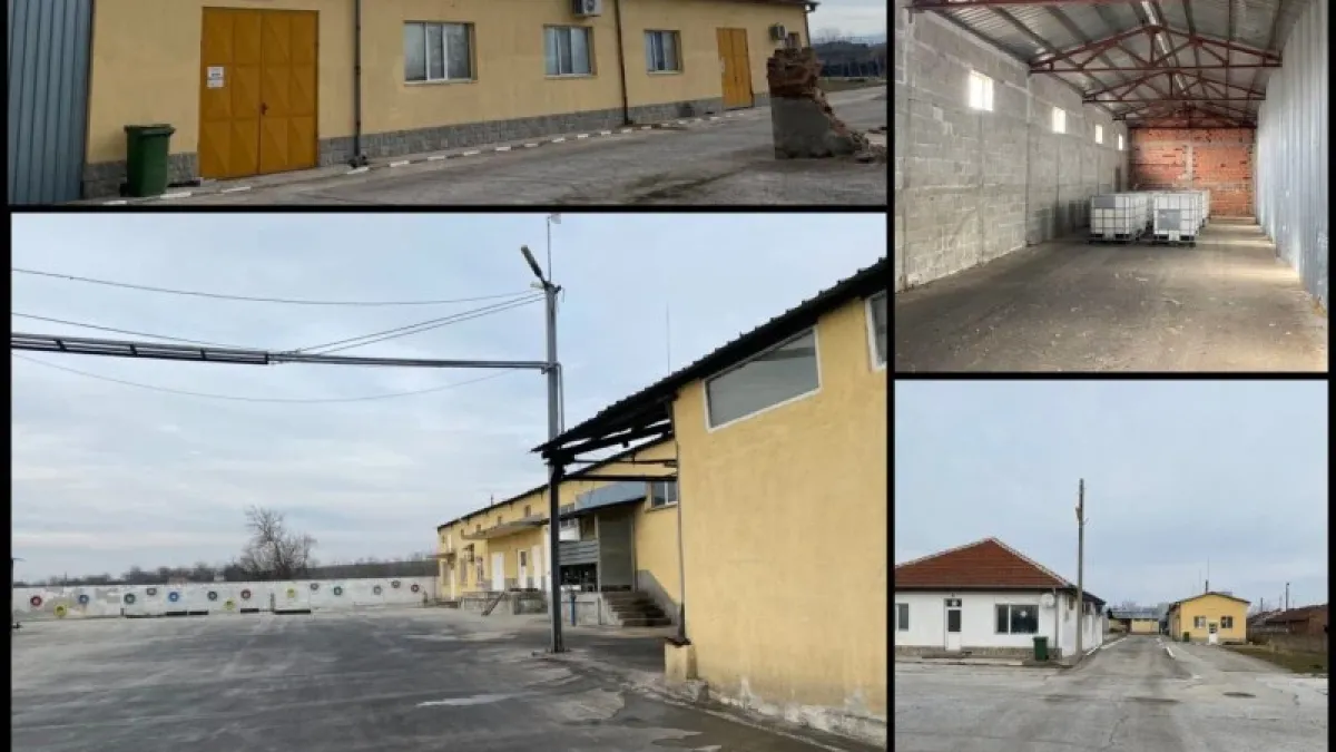 Извадиха на тезгяха цяла фабрика за олио, цената й пада главоломно 