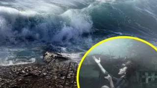 Предсказание за мегацунами с осемметрови вълни предизвиква паника сред туристи