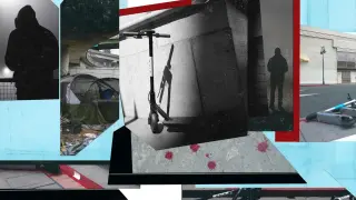 Свобода да газиш: Добре дошли в джунглата на две колела!