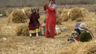 Египет обсъжда увеличаване на вноса на пшеница от България