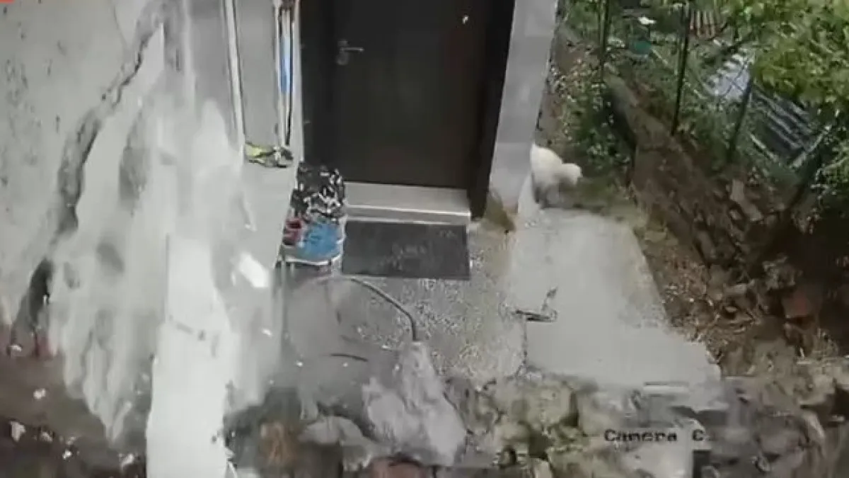 Видео показва момента на срутването на стена в Перник - "Чу се страшен тътен"