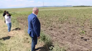 Държавата отпуска средства за щети от градушки: Заявления се подават от 28 май до 9 юни