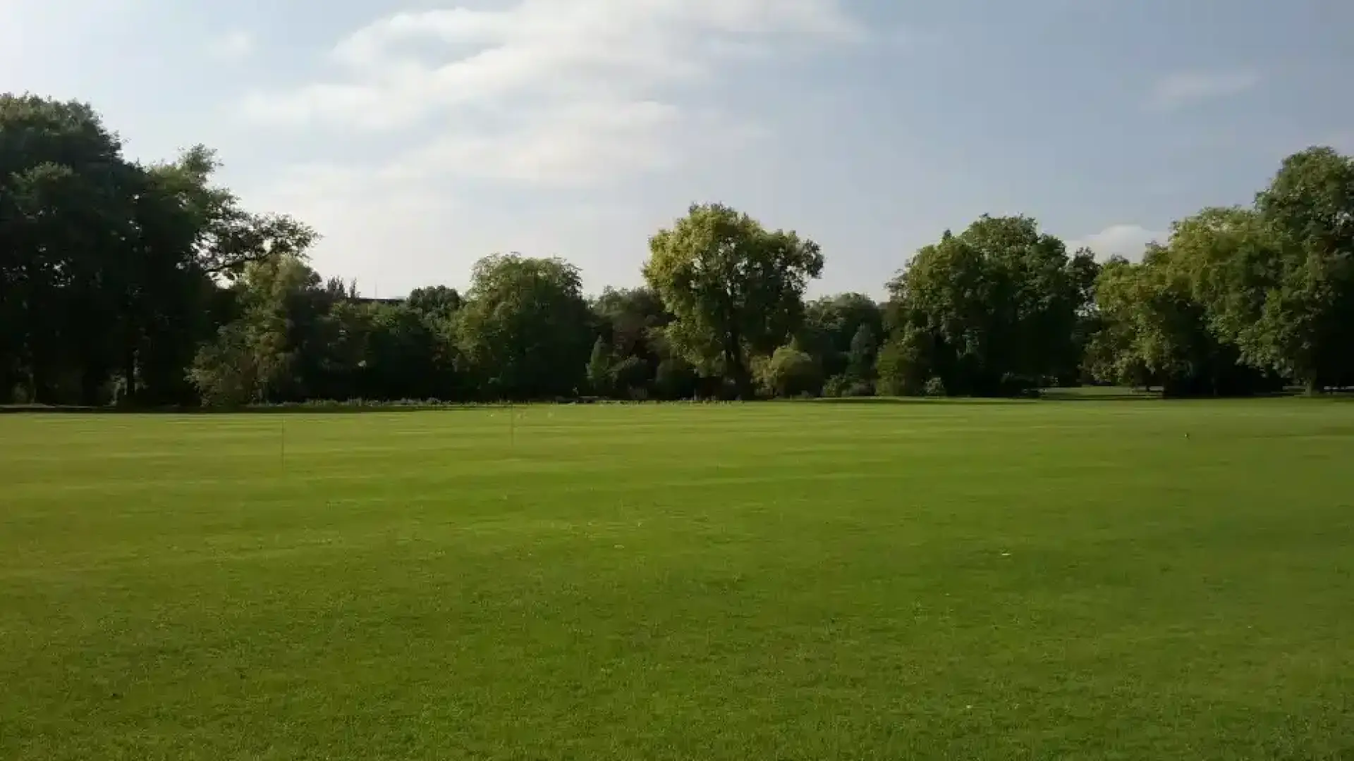 По времето на динозаврите тревата не е съществувала — кога се е появила?