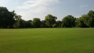 По времето на динозаврите тревата не е съществувала — кога се е появила?