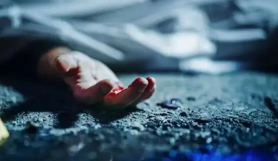 Журналист с шокираща версия и разкрития за убийството на 45-г. бизнесдама Стела и самоубийството на килъра ѝ