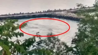 Какво  има във водата край Варна?