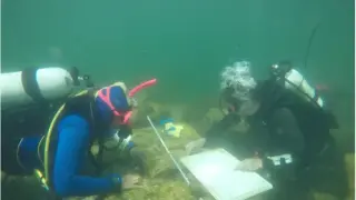 Истинско чудо крие морето край Поморие