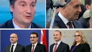 Полезните идиоти, облечени в костюми, са отделен клон човекоподобни - ползват главите си само за прически