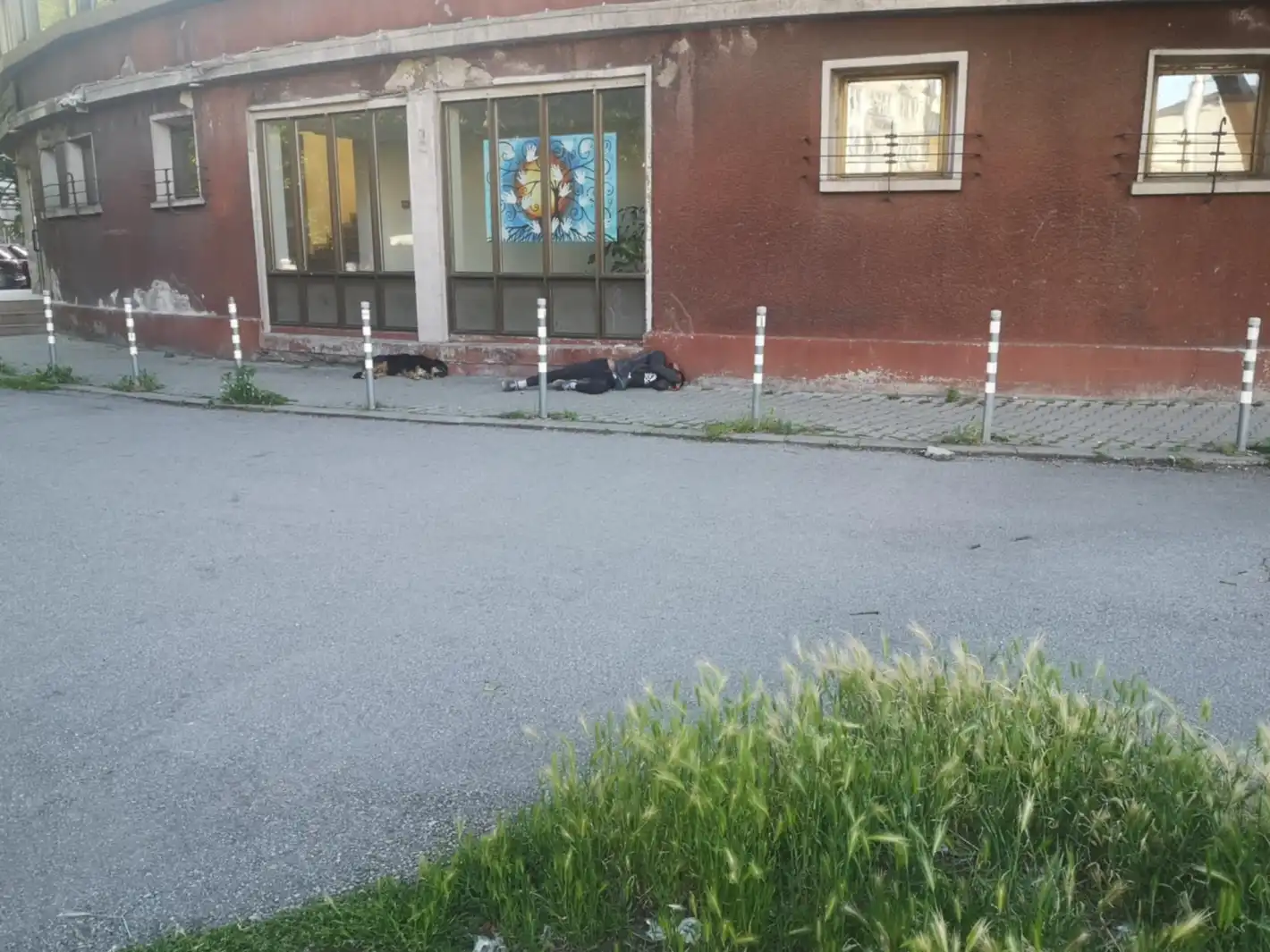 Бърза помощ в София: Мъж и куче сътвориха страшна картина Снимки