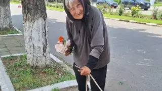 Баба Сирма: Тръгнах, чедо, за другия паметник, но се измарям вече