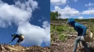 Герой без плащ: Мъж постави 23 хиляди разсада само за 24 часа Видео