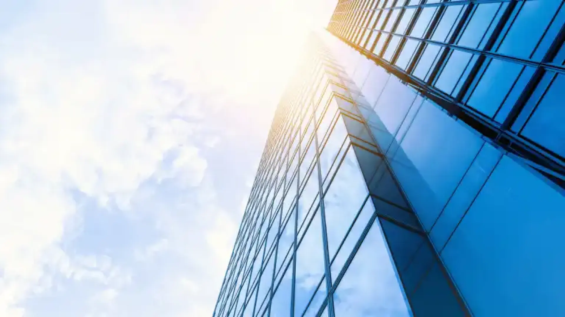 Бългapия вeчe имa втopa ĸoмпaния, oцeнeнa нa нaд $1 милиapд