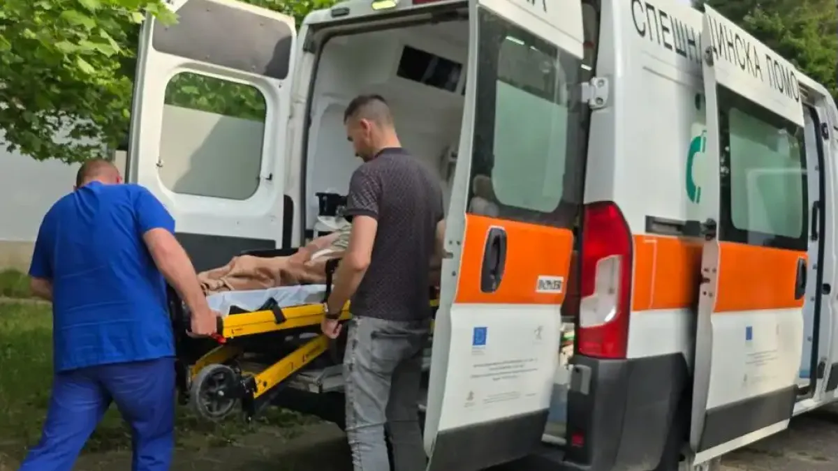 В незаконните домове за възрастни са открити хора в локви кръв, вързани и със заболявания Снимки 18+