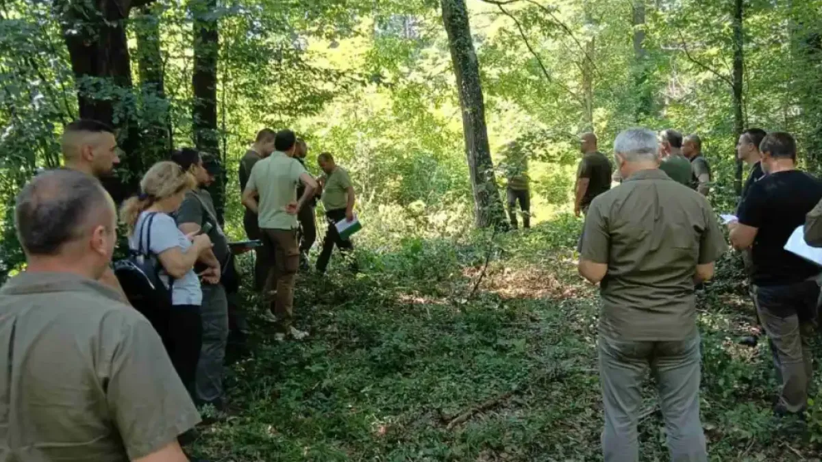 Лесовъди алармират за масово съхнене на гори в няколко общини