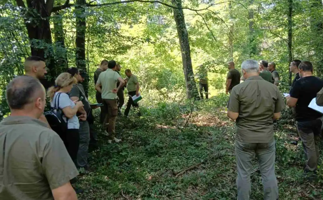 Лесовъди алармират за масово съхнене на гори в няколко общини