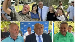 Гътнаха теле и биче заради Борисов