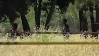 Мистерия в Рим: Румънка и бебето й открити мъртви, скрити под торба в парк Видео