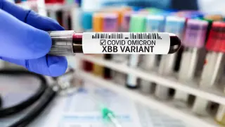 Проф. Ива Христова алармира за летен кошмар с нов COVID-19 и куп други вируси
