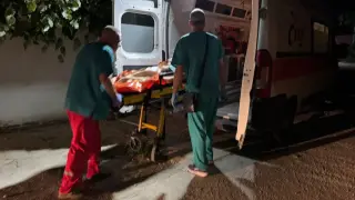 Директорът на "Медицински надзор" подозира замесен лекар в Домовете на ужасите