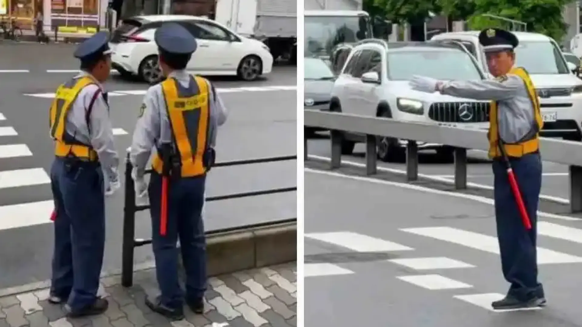 В тази страна създават изкуствени работни места за пенсионерите Видео