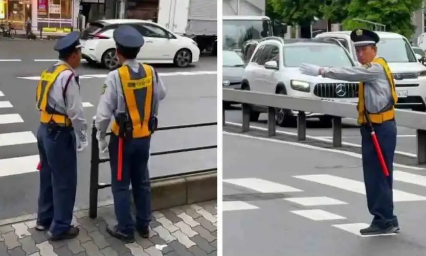 В тази страна създават изкуствени работни места за пенсионерите Видео