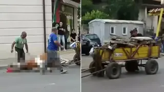 Изнемощял кон рухна под претоварена каруца в Кюстендил Видео