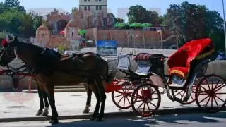 Нечовешка жестокост смрази Слънчев бряг!