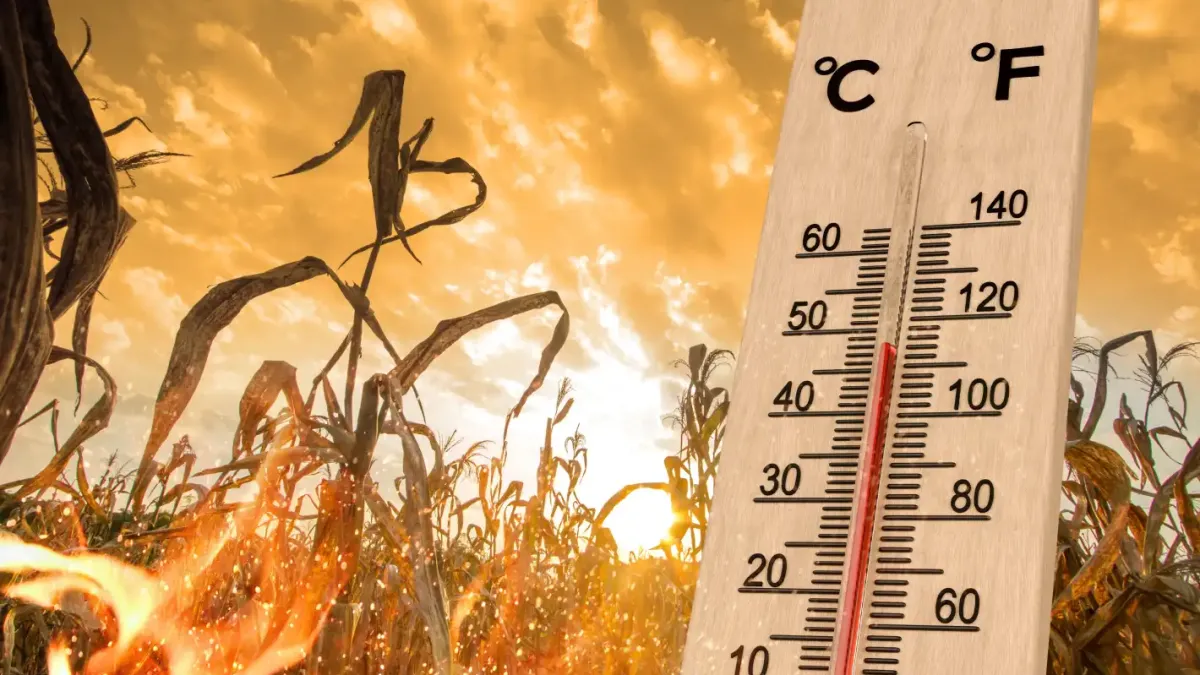 Ад в Европа: Температури от 48°C изпепелиха континента, а това е само началото!