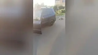 Почина кучето, влачено с кола в Българово, полицията обяви подробности по случая