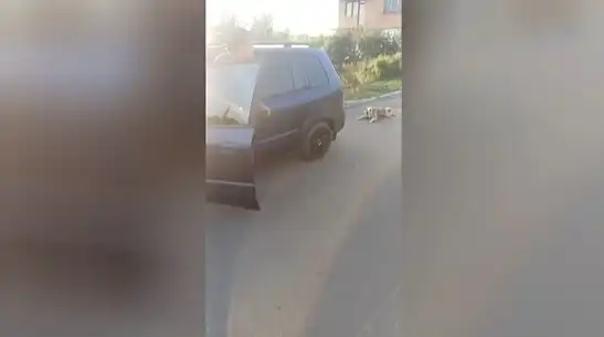 Почина кучето, влачено с кола в Българово, полицията обяви подробности по случая