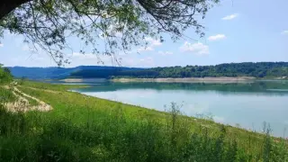 Проф. Рачев с жестоки обвинения: Поливаме Сахара, а никнат басейни един след друг