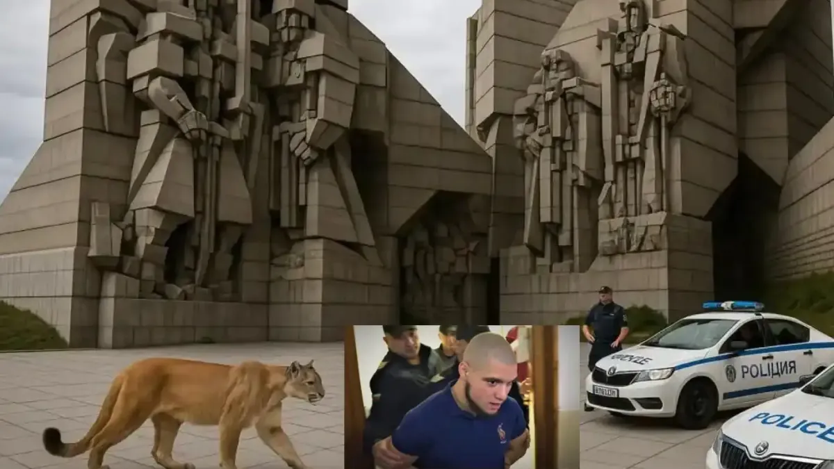 История за пернишкото синче и шуменската пума