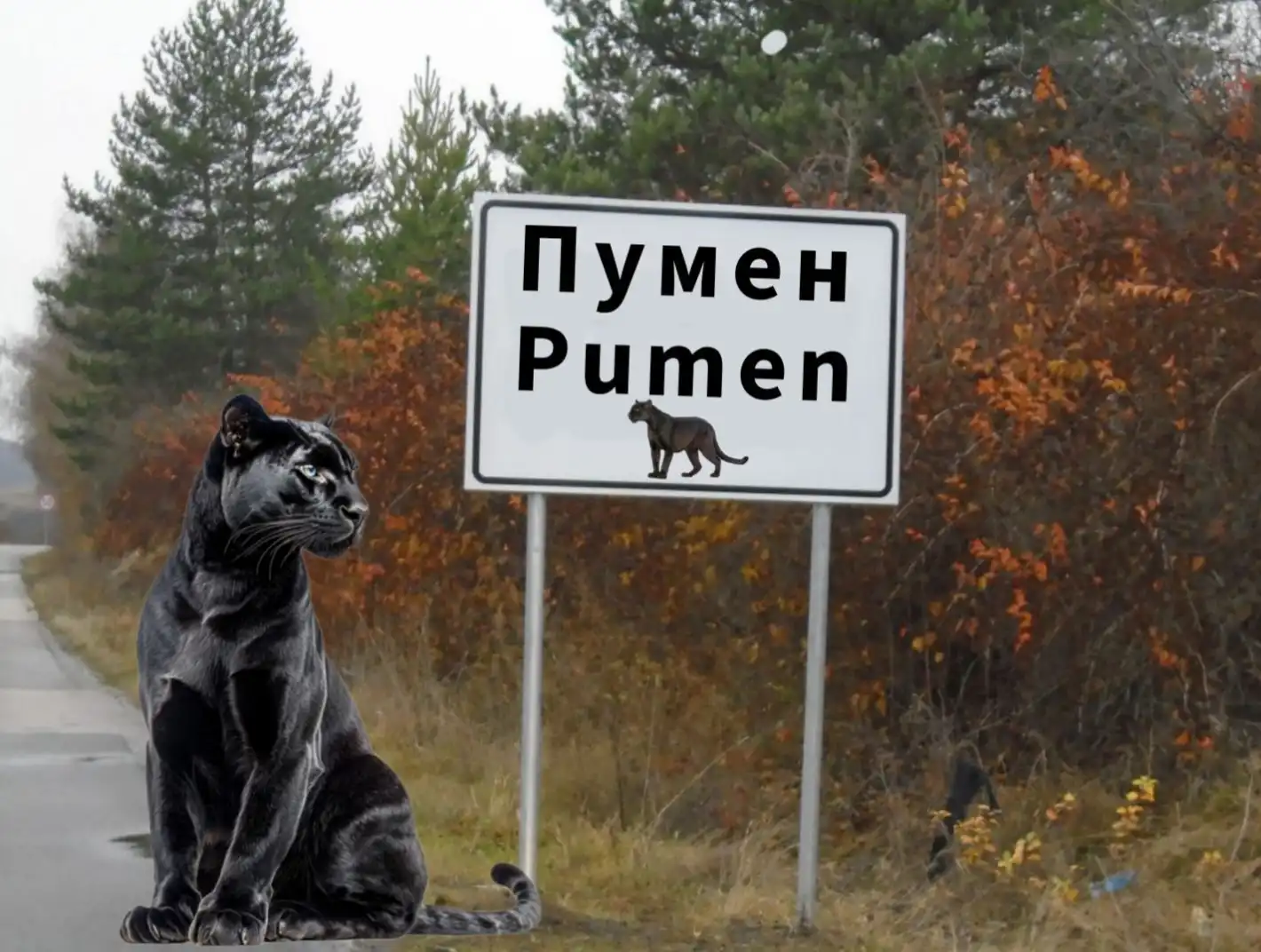 Звярът от Шумен вече и в "Уикипедия", гушна се с Божинката