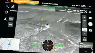 Шуменската дива котка опропасти сватба, мракът може да я тикне в капаните