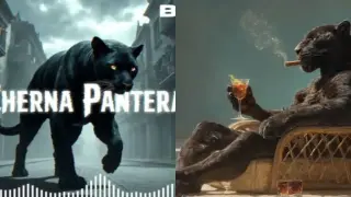 Възпяха с песни шуменския звяр Видео