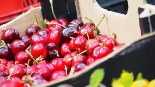 Няма да ядем: Цената на черешите пощуря
