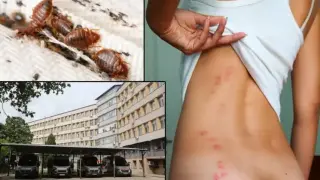 Кошмар: Дървеници евакуираха цяла болница!