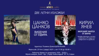 Музей-галерия „Анел“ с две летни изложби