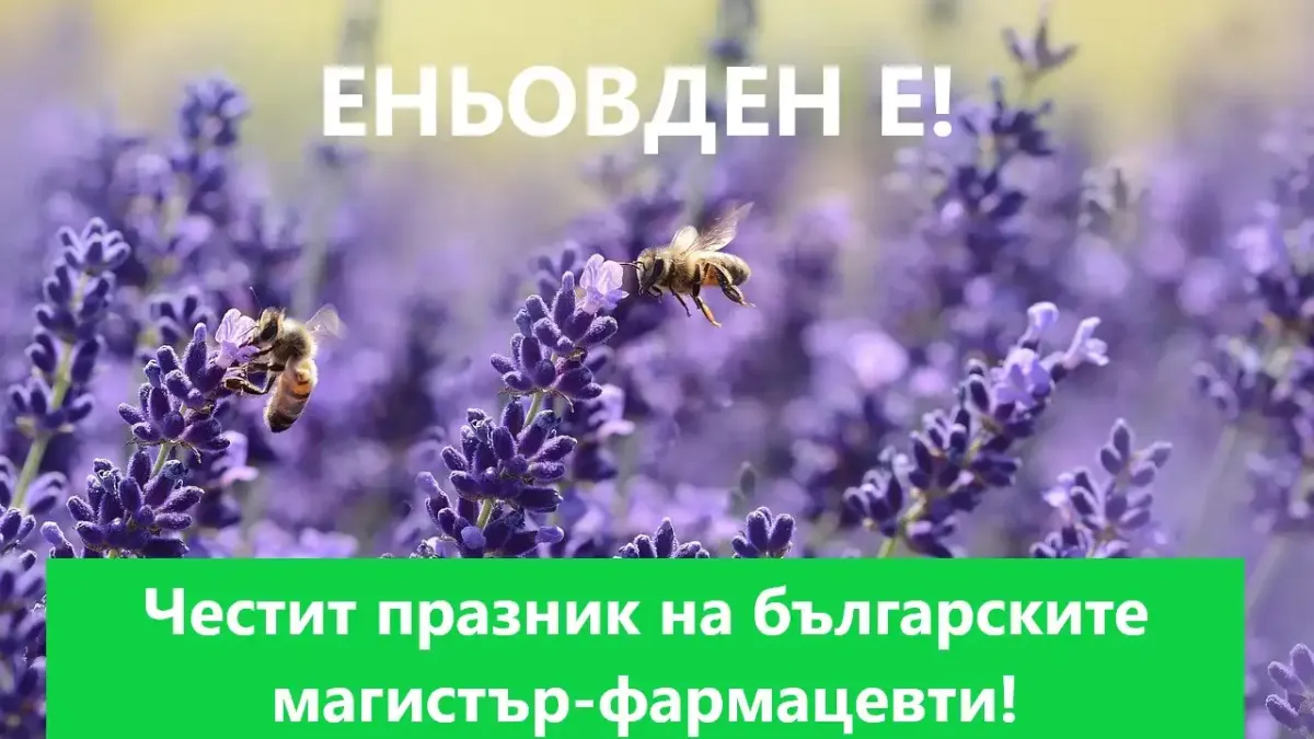 Еньовден е! Фармацевтите в София си пожелават реална регулация