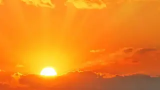 Имунитетът ни е най-силен на светло: вътрешният часовник се включва срещу инфекции