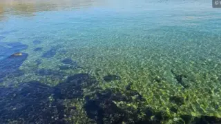 РЗИ: Морската вода край Варна с отлично качество