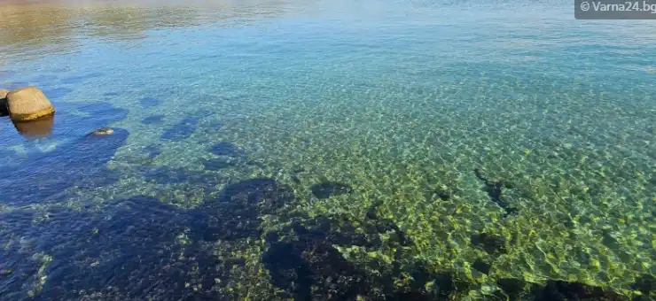 РЗИ: Морската вода край Варна с отлично качество