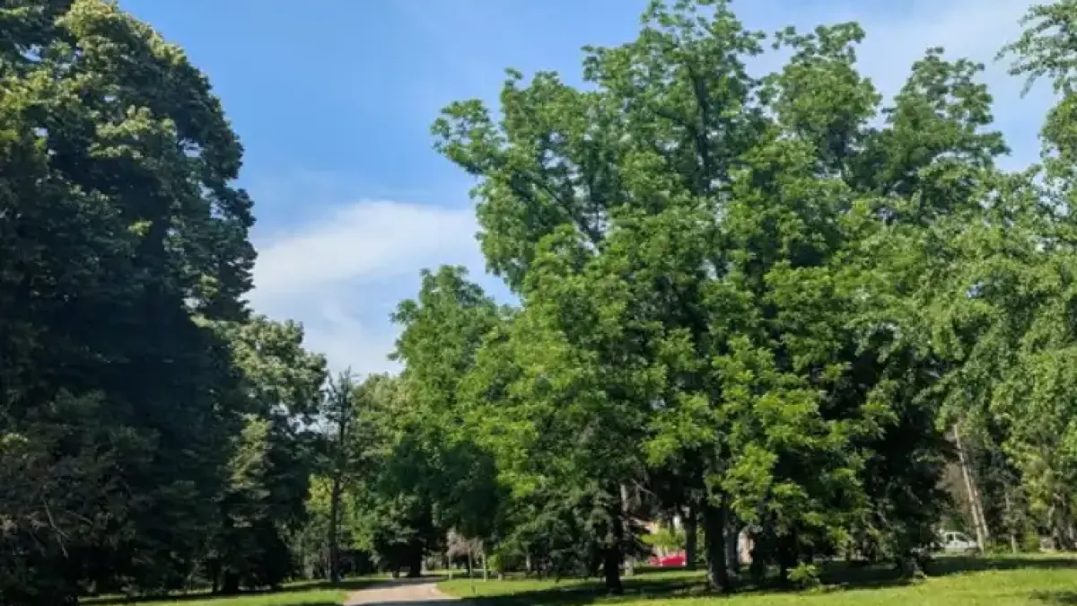 Адска жега в наш град, живакът на сянка удари...