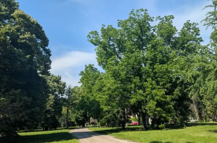 Адска жега в наш град, живакът на сянка удари...