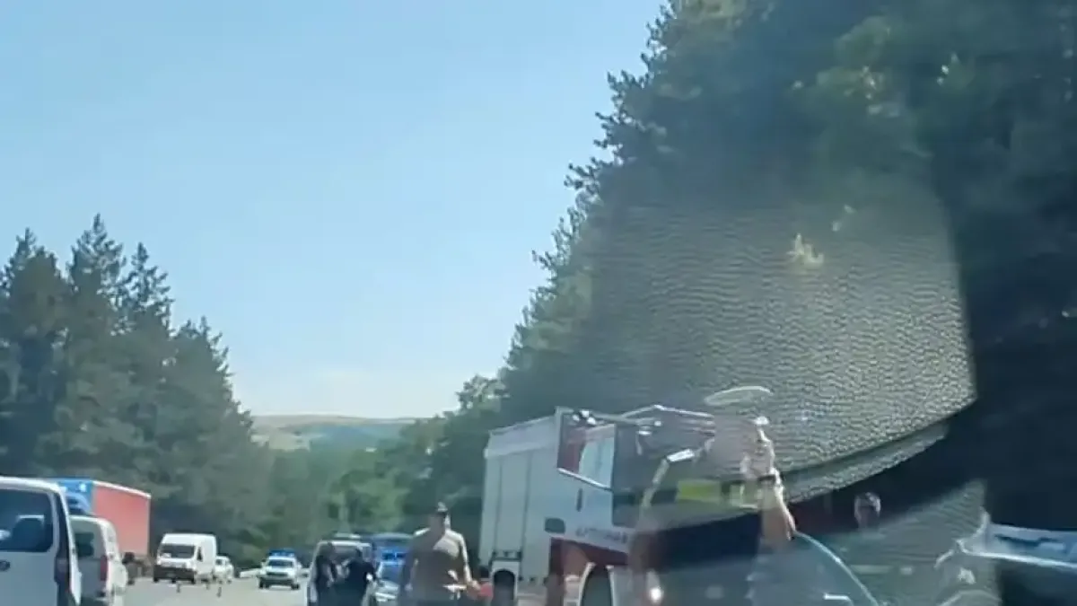 Жестока трагедия с възрастен мъж край Дупница