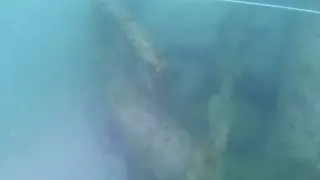 Находка край Царево: Уникална котва изплува от морското дъно Снимки
