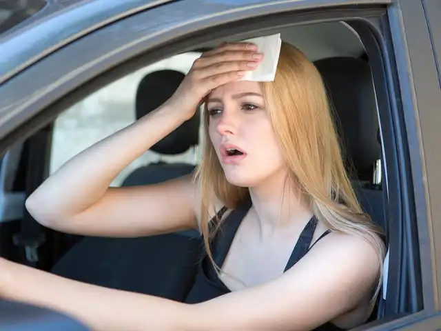 Температура над 35 градуса в автомобила влияе като чашка алкохол