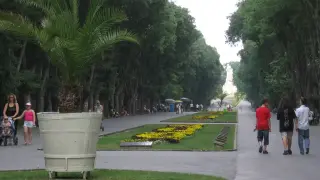 Такова чудо във Варна не е било от близо 100 години