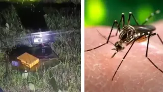 Уникално: Вижте система за ПВО, но...против комари Видео