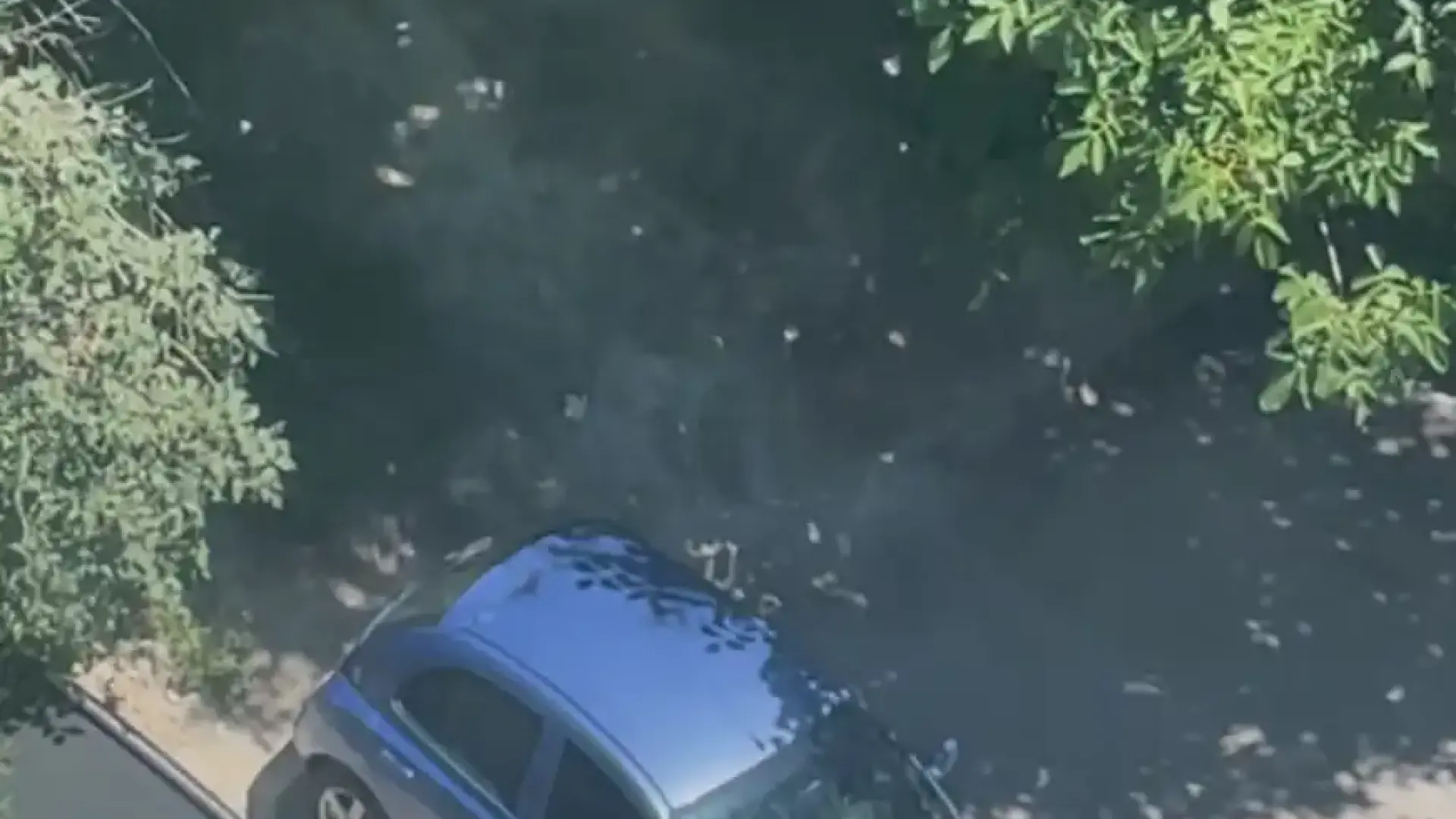 Напаст: Варна стана като Гърция